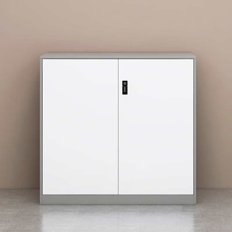 Two-door File Cabinet