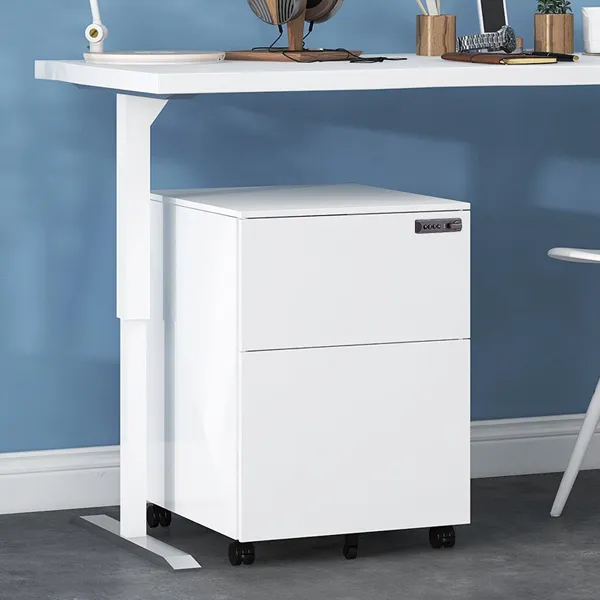 Two Drawer Mobile Cabinet