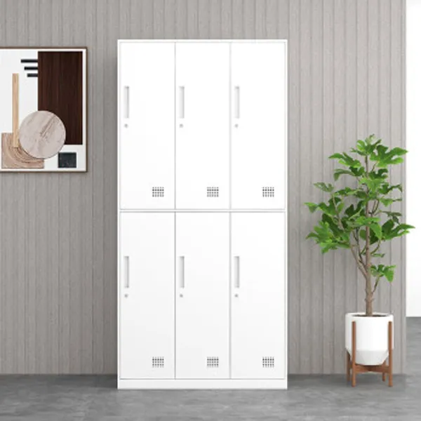 White Six Door Locker