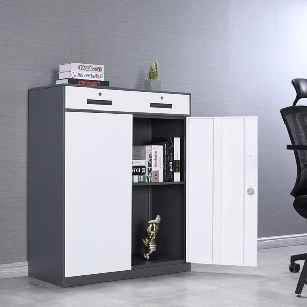 Two-section Low Cabinet