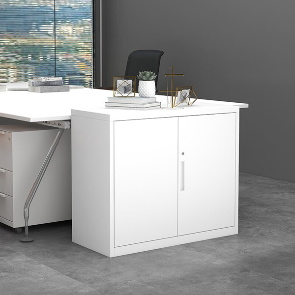 Metal Tow Doors Low Cabinet