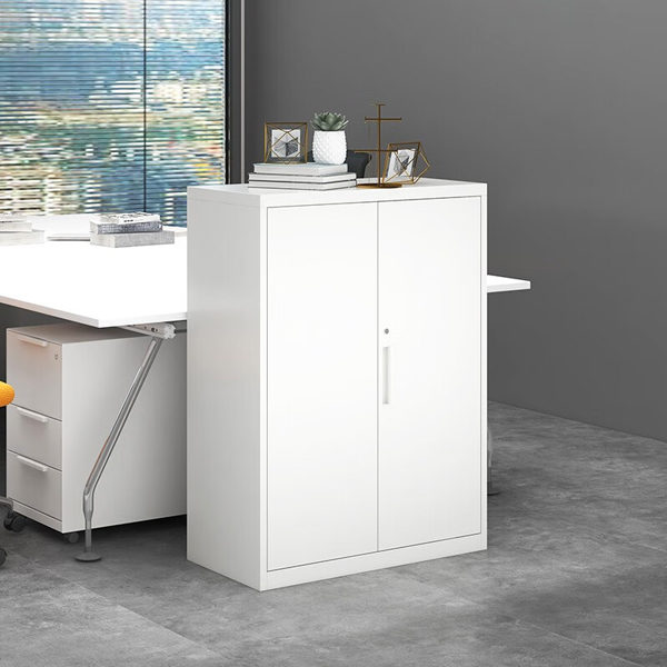 Short Two-door Metal Cabinet