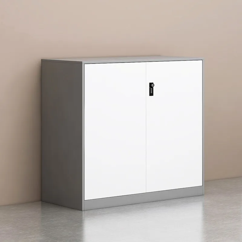 Two-door File Cabinet